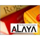 翻訳 企業45社の製品とランキング Ipros