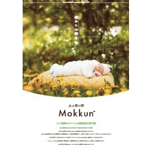 塗り壁 漆喰美人 製品カタログ アトピッコハウス イプロス都市まちづくり