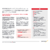Boeing_Customer_Experience_JP.jpg