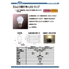 だんじり提灯用LEDランプ.jpg