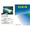 セッカール A3【2006】.jpg