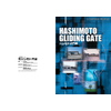 hashimotodigital_c.jpg