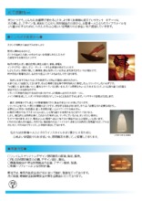 有限会社フレイムス 会社案内 会社紹介資料 フレイムス イプロス都市まちづくり