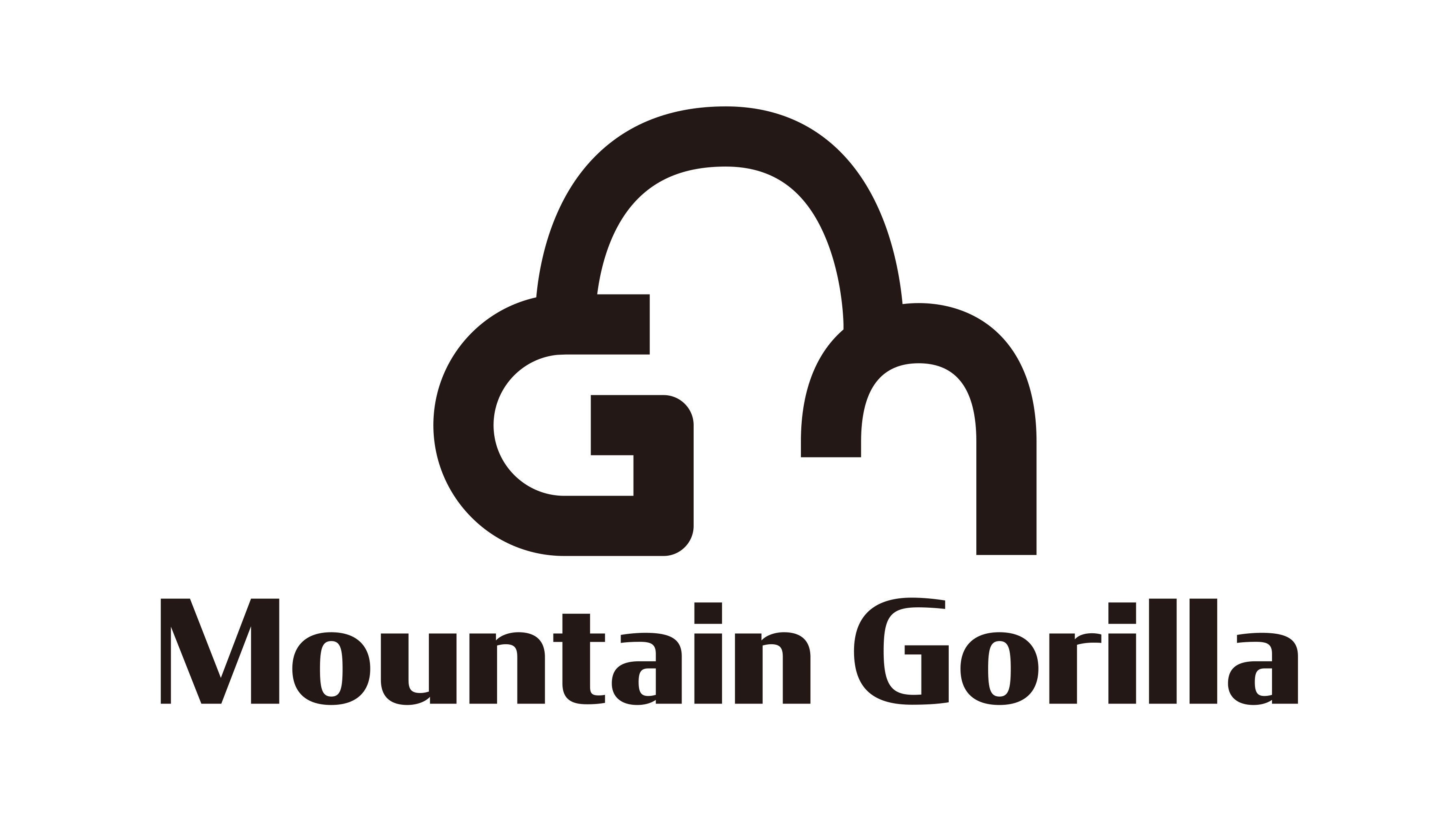 株式会社株式会社Mountain Gorilla 株式会社Mountain Gorilla 企業情報 イプロスものづくり