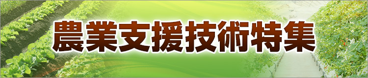 特集メインビジュアル