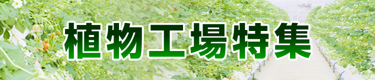 特集メインビジュアル