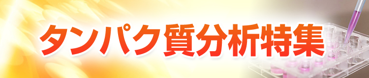 特集メインビジュアル