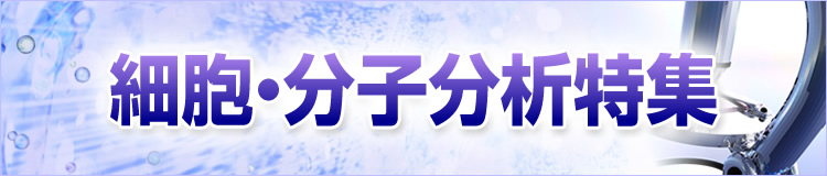 特集メインビジュアル