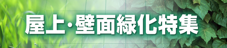 特集メインビジュアル