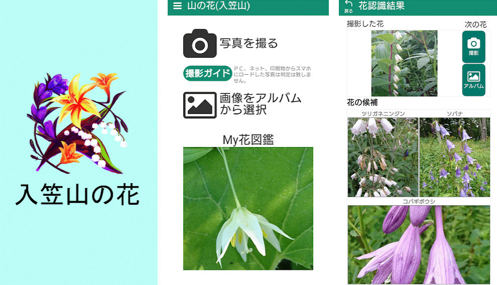 自動花認識アプリ 山の花 入笠山 をリリースいたしました アルティメイトプロジェクト株式会社 本社 長野県諏訪市 東京 千代田区 Powered By イプロス