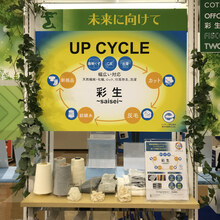 UP CYCLE UP CYCLE