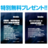 無料プレゼントIEC 61000-4試験規格概要、自動車・車載機器用EMC試験規格概要 無料プレゼントIEC 61000-4試験規格概要、自動車・車載機器用EMC試験規格概要