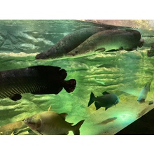 カワスイ館内 カワスイ館内
