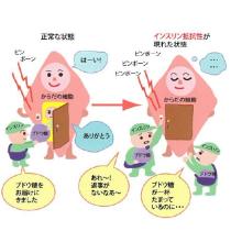 資料 Pcos治療に効果的なグリスリン ユーザーの声 サン メディカ イプロス医薬食品技術 資料 Pcos治療に効果的なグリスリン ユーザーの声 サン メディカ イプロス医薬食品技術