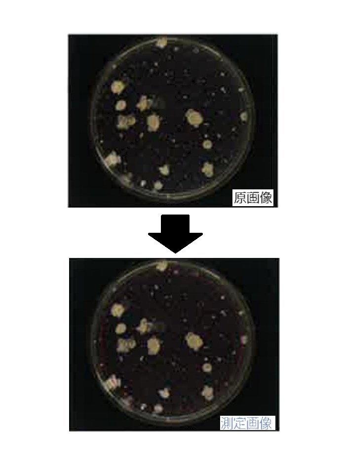 コロニーカウンタ 企業6社の製品とランキング Ipros