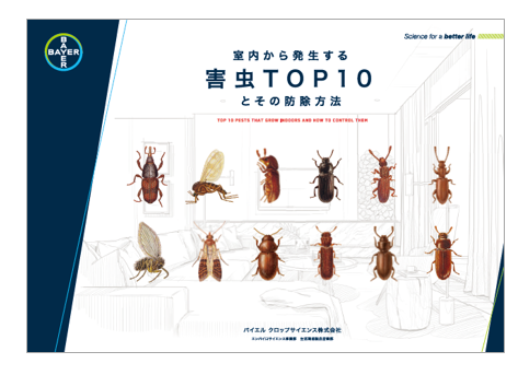 室内から発生する害虫top10とその防除方法 バイエルクロップサイエンス イプロス都市まちづくり 室内から発生する害虫top10とその防除方法 バイエルクロップサイエンス イプロス都市まちづくり