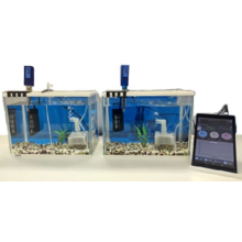 測定例 Phai Labo 水槽ph調整剤 1 Monotone Technology Powered By イプロス 測定例 Phai Labo 水槽ph調整剤 1 Monotone Technology Powered By イプロス