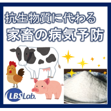 抗生物質に代わる種鶏やブロイラーの病気予防 Lbsカルチャー リタニアルバイオサイエンス Powered By イプロス