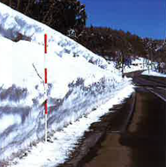 スノーポール 企業と製品の一覧 Ipros