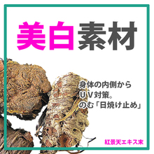 飲む日焼け止め 美白素材 紅景天エキス末r 松浦薬業 イプロス医薬食品技術