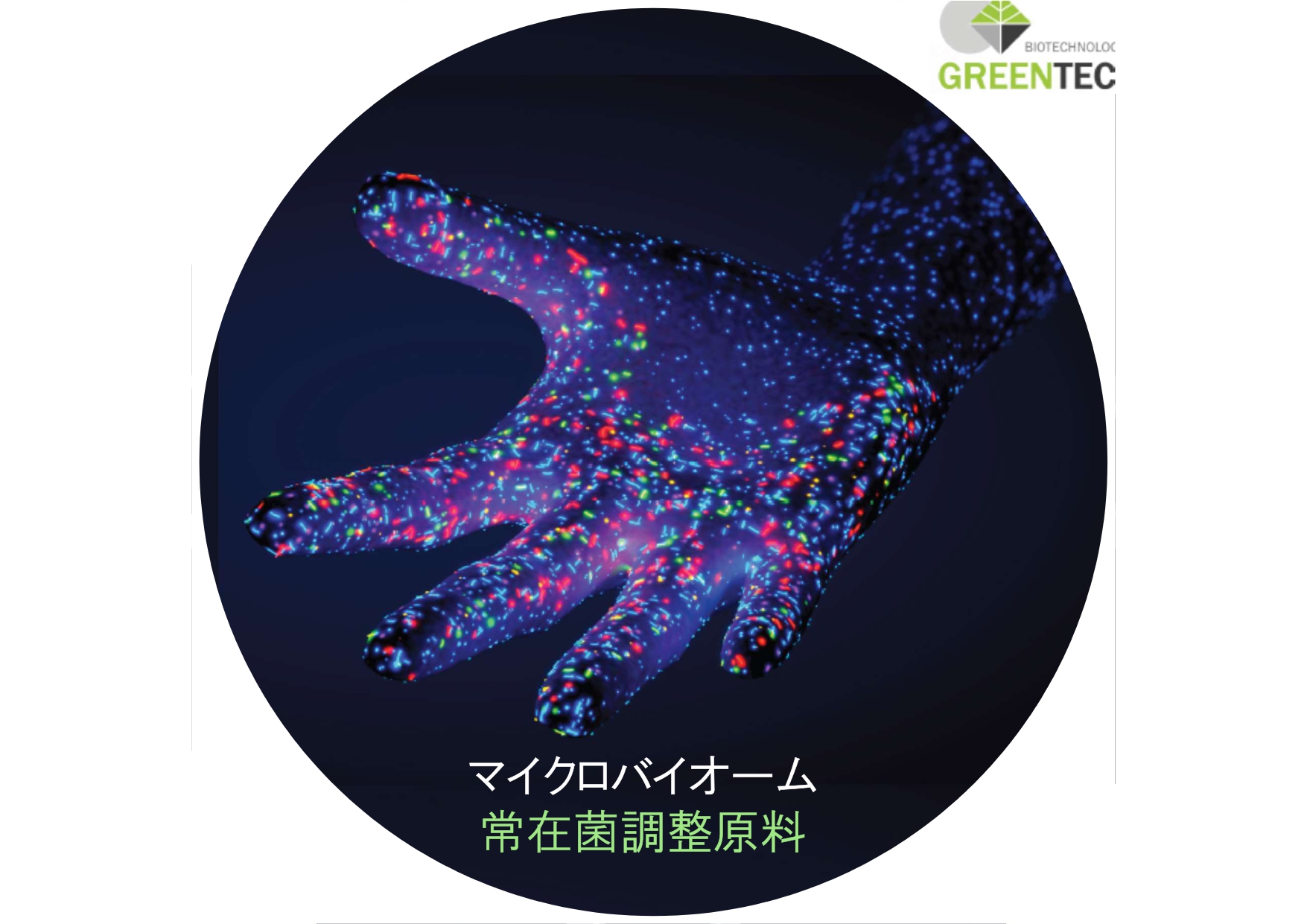 ダイエットの段階