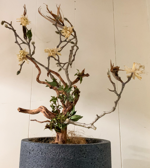 カタチ製作所 植木鉢 一点物 鉢 （NOSIGNERが空間設計を手がけた
