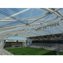 屋根付きスタジアムで天然芝プレーを実現する透明材料 ａｇｃ Powered By イプロス