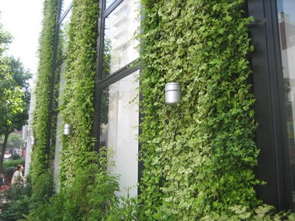 壁面緑化システム 企業13社の製品とランキング Ipros