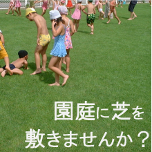 常緑 丈夫 園庭に適した天然芝生のご提案 施工事例集進呈 春日グリーンアシスト イプロスものづくり