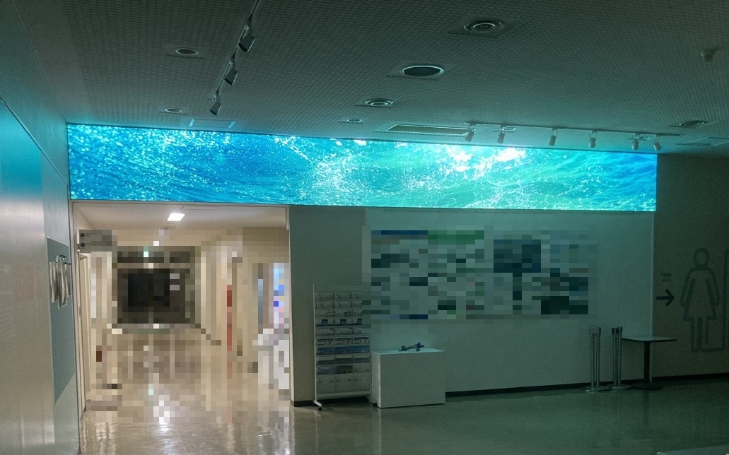 ファンノルムリーフレット