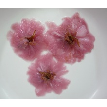 桜花製品 糖漬け エキス サンアイ化学工業 イプロスものづくり