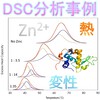 分析事例:NanoDSCのタンパク質変性温度とZn2+影響評価 製品画像
