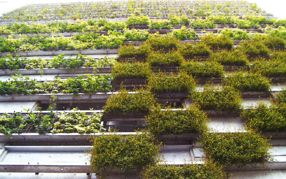 壁面緑化システム 企業14社の製品とランキング Ipros