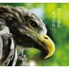 鳥害対策製品『バードストッパー シリーズ』※施工実績多数あり 製品画像