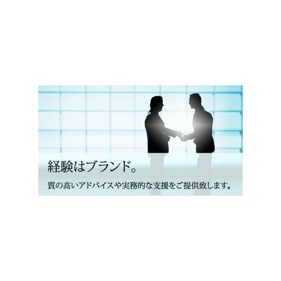 Chemsherpa ケムシェルパ 入門 初級実務者向け キャリアパートナーズ イプロスものづくり