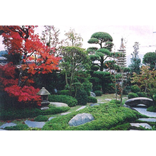 作庭家とつくる理想の庭 アイエスアイサービス イプロスものづくり