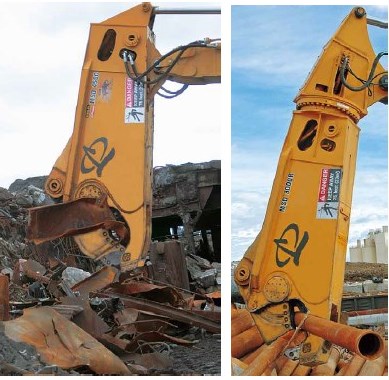 アルバーティアナコニカ/大株【現品発送】管理24692