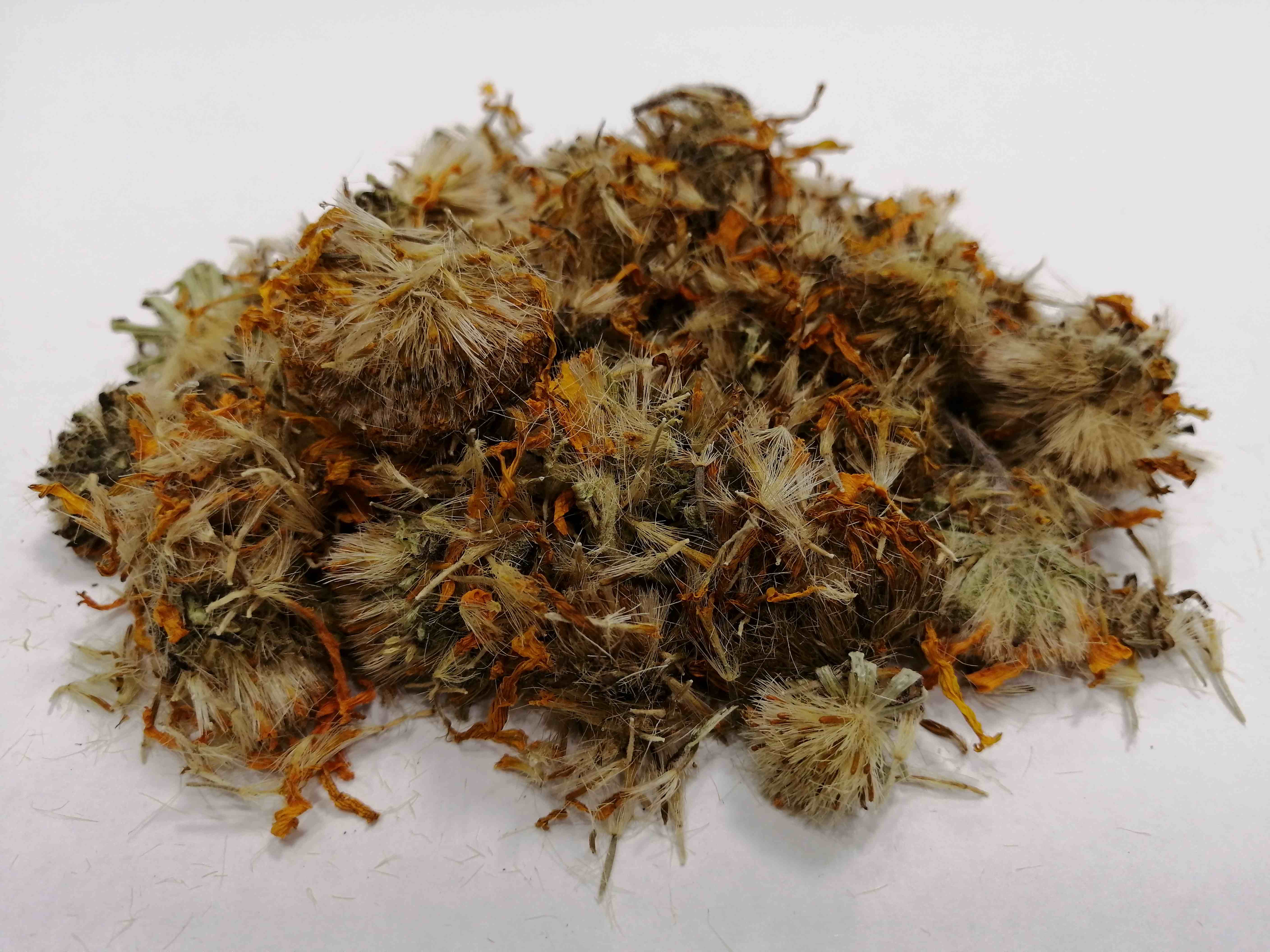 アルニカ モンタナ 4DH ヴィドラ リーフレット