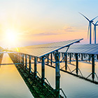 20200827-BLP-banner-s01.jpg