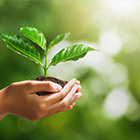 20200827-BLP-banner-s02.jpg