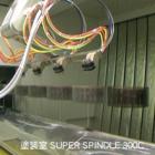 ssp300c4g01-220.jpg